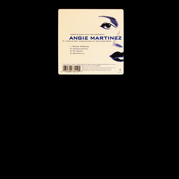 Master Release: If I Could Go! by Angie Martinez