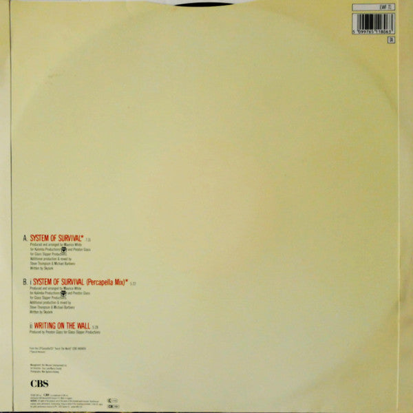 Release: System Of Survival-Vinyl-UK-1987-EWF T1-663826