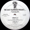 East Flatbush Project - Tried By 12 (Vinyl, 12