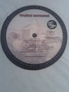 DJ D Lite - Tropical Movement (12