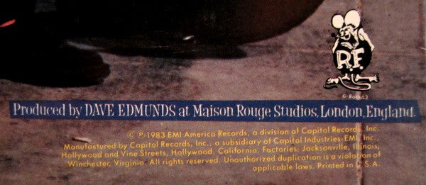 Rant N' Rave With The Stray Cats