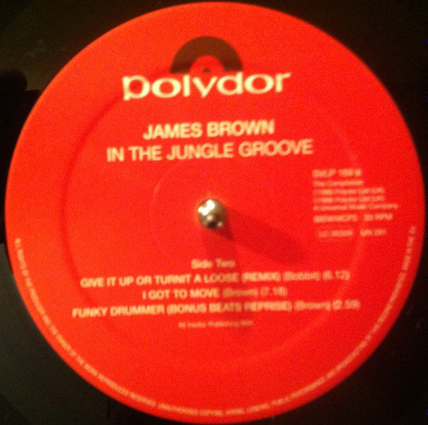 In The Jungle Groove