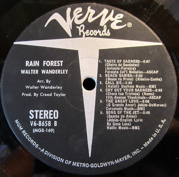 Rain Forest