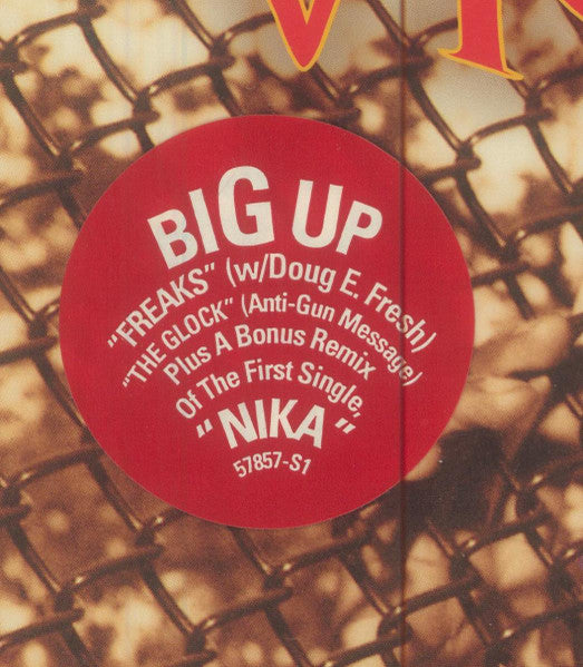 Destination Brooklyn