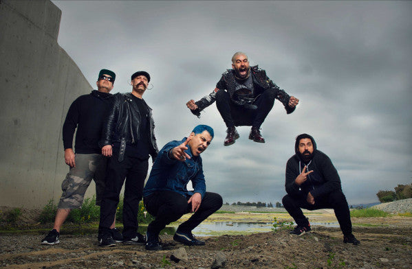 Zebrahead