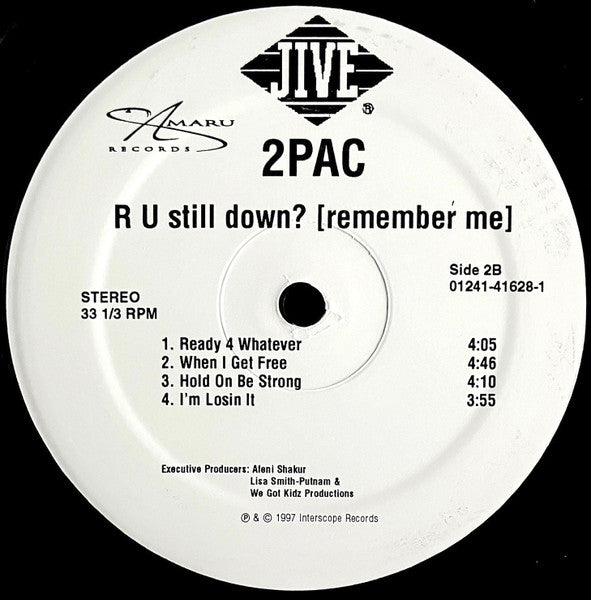 R U Still Down? [Remember Me]