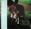 Yukihiro Takahashi - Tomorrow's Just Another Day (LP, Album) - Very Good (VG) / Very Good (VG)