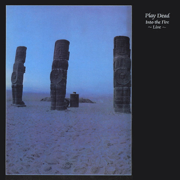 Master Release: Into The Fire ~ Live ~ by Play Dead (2)