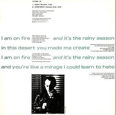 Master Release: Rainy Season by Howard Devoto
