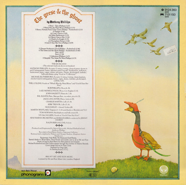 The Geese & The Ghost