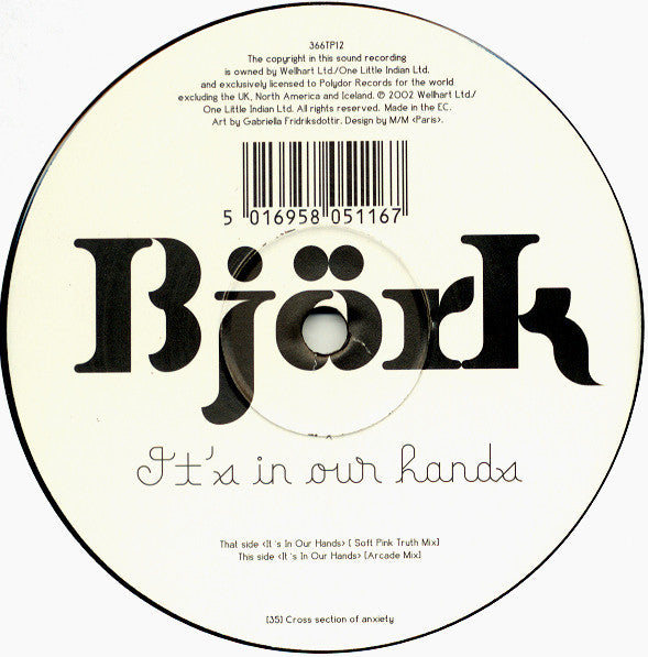 Master Release: It's In Our Hands by Björk