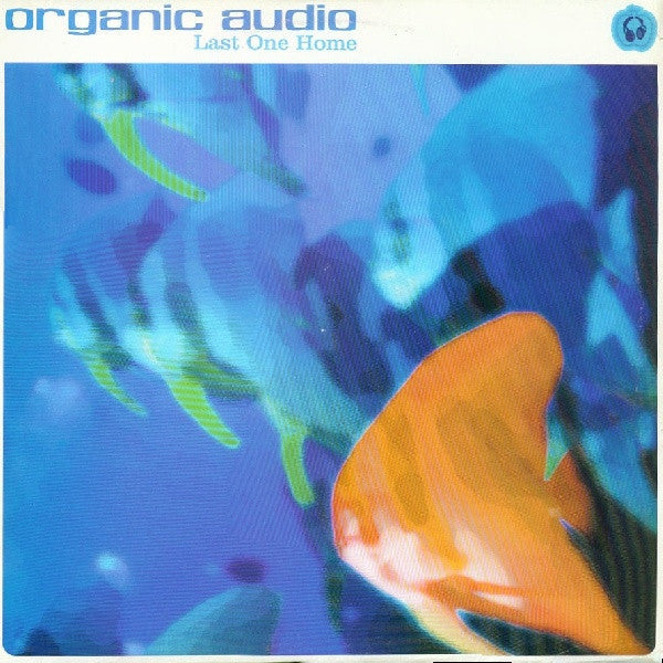 Release: Last One Home-Vinyl-UK-2000-TUCH 039 LP-229499