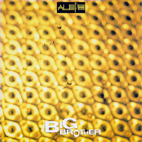Big Brother / I'm In Danger
