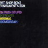 Pet Shop Boys - Fundamentalism (Part 2) (Vinyl, 12