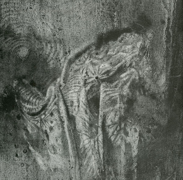 I Paint For Love Of Color