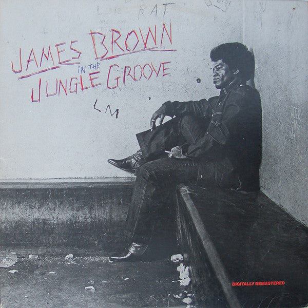 In The Jungle Groove