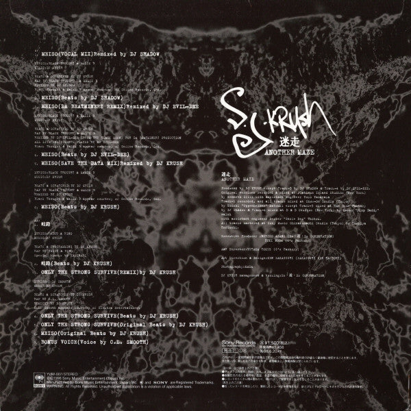 Release: 迷走 Another Maze-Vinyl-Japan-1996-YUM-007-132532