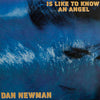 Dan Newman - Is Like To Know An Angel (Vinyl, 12