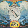 Steve Hillage - Fish Rising (LP, Album, Reissue, Stereo) - Very Good Plus (VG+) / Very Good Plus (VG+)