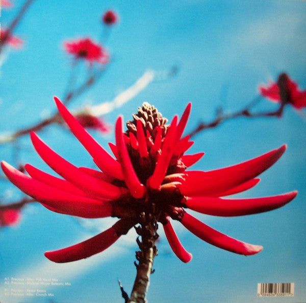 Master Release: Precious by Depeche Mode