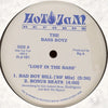 The Bass Boyz - Lost In The Bass (Vinyl, 12