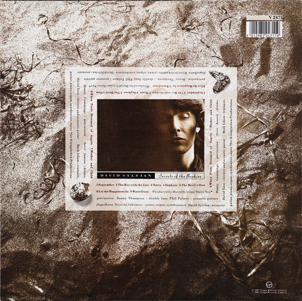 Release: Secrets Of The Beehive-Vinyl-UK-1987-V 2471-619153