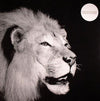 David Gilmour Girls - Crimson As Murder (Vinyl, 12