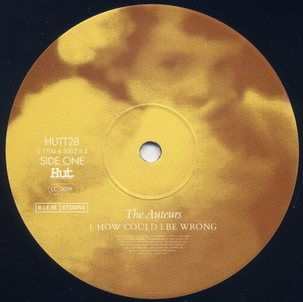 Master Release: How Could I Be Wrong by The Auteurs