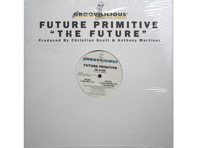 Master Release: The Future by Future Primitive (2)
