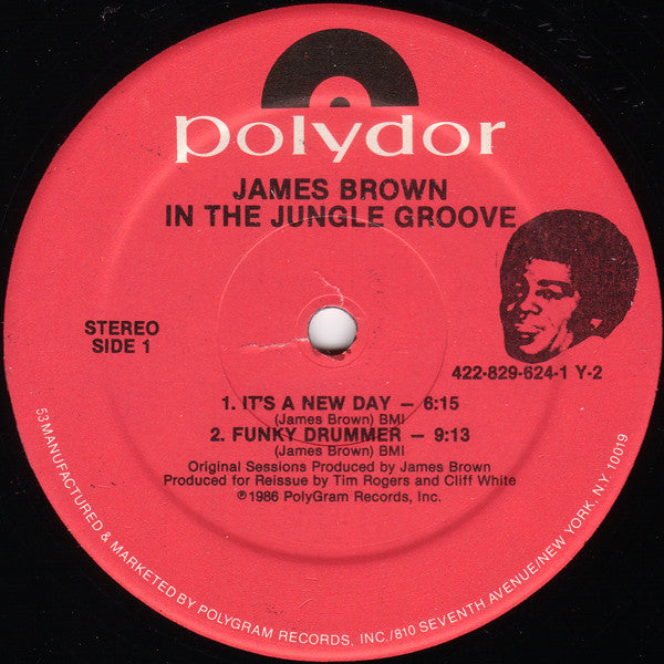 In The Jungle Groove