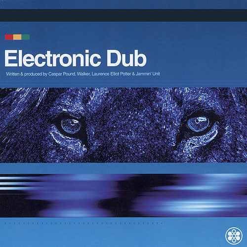 Master Release: Electronic Dub by Electronic Dub