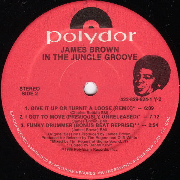 In The Jungle Groove