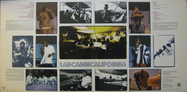 LabCabinCalifornia
