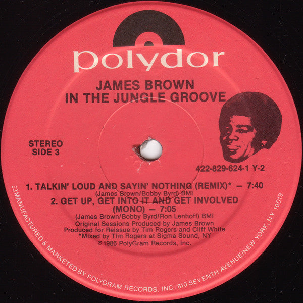 In The Jungle Groove