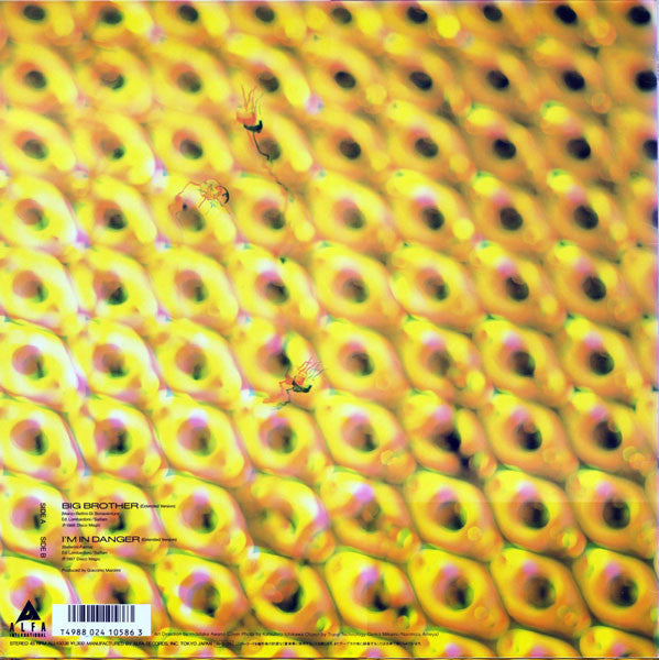 Master Release: Big Brother / I'm In Danger by Aleph