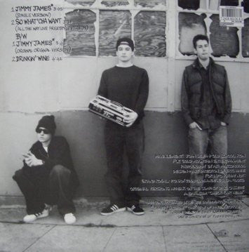 Master Release: Frozen Metal Head by Beastie Boys