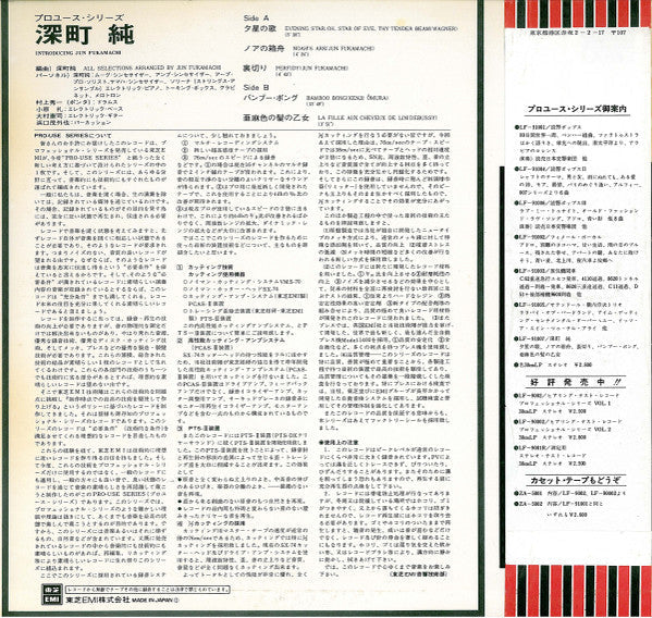 Master Release: Introducing Jun Fukamachi by Jun Fukamachi