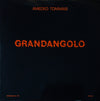 Amedeo Tommasi - Grandangolo (Vinyl, LP, Stereo) Very Good (VG) / Very Good Plus (VG+)