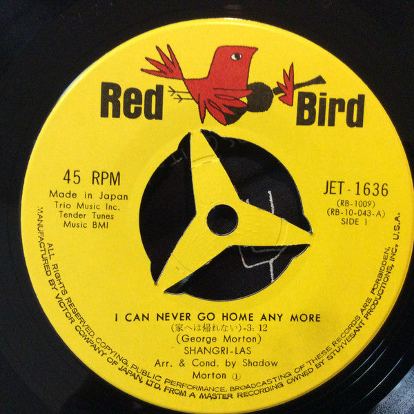 I Can Never Go Home Any More