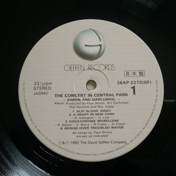 The Concert In Central Park