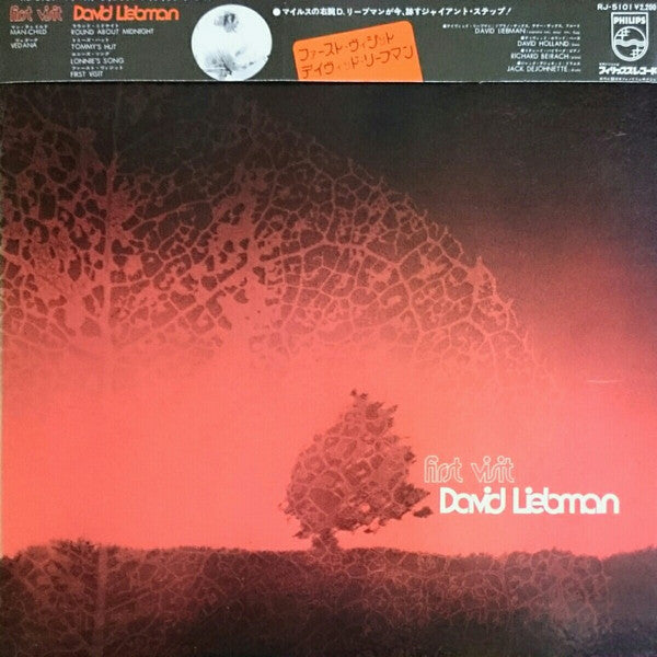 Release: First Visit-Vinyl-Japan-1973-RJ-5101-6448221