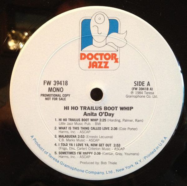 Hi Ho Trailus Boot Whip