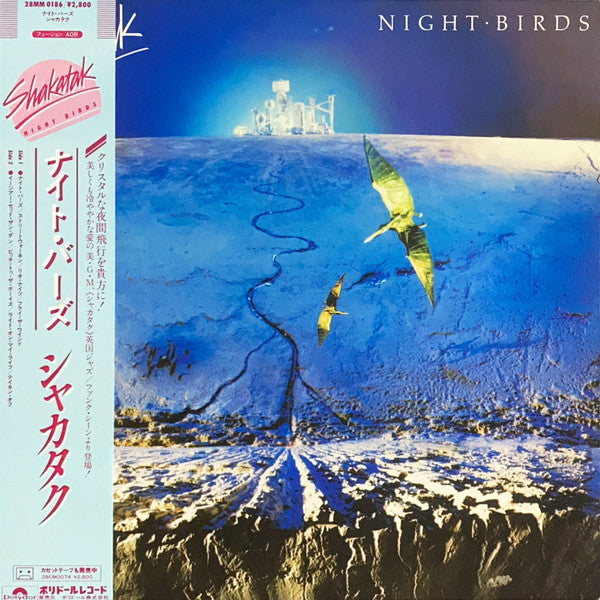 Night Birds