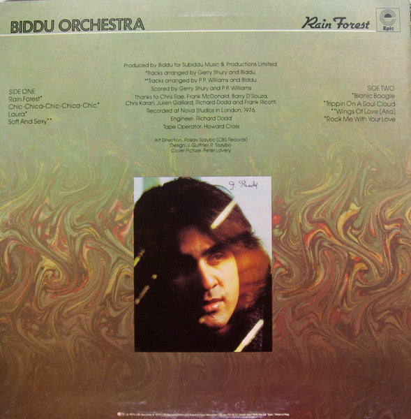 Release: Rain Forest-Vinyl-US-1976-PE 34230-3252937