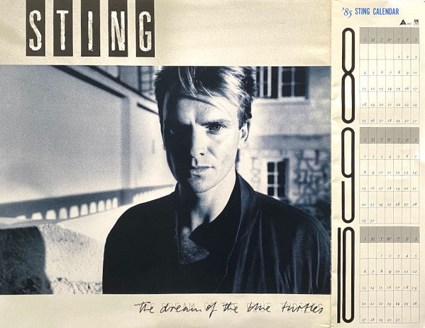 The Dream Of The Blue Turtles