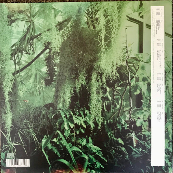 Master Release: Wood/Water by The Promise Ring