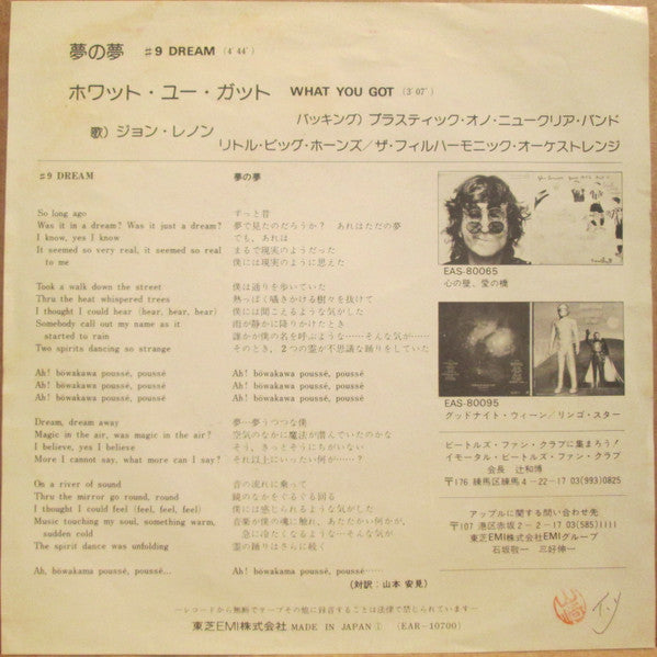 #9 Dream / What You Got