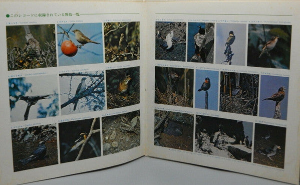 野鳥の世界 = Feathered Singers Of Japan