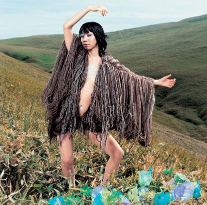 Release: 泥棒-Vinyl-Japan-2002-VIJL-60093-5952961