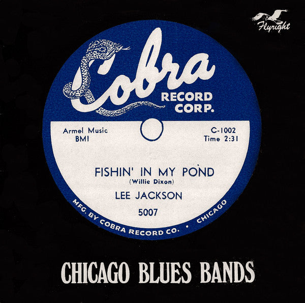 Fishin' In My Pond (Chicago Blues Bands)